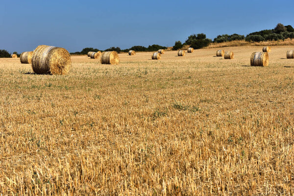 Straw bales on farmland with blue sky