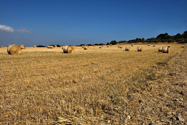 Straw bales on farmland with blue sky