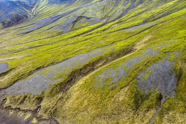 Vibrierendes grünes Islandmoos — Stockfoto