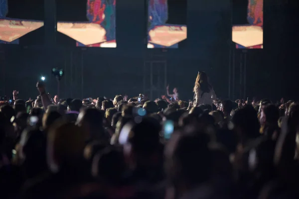 Menigte van mensen bij rock concert — Stockfoto