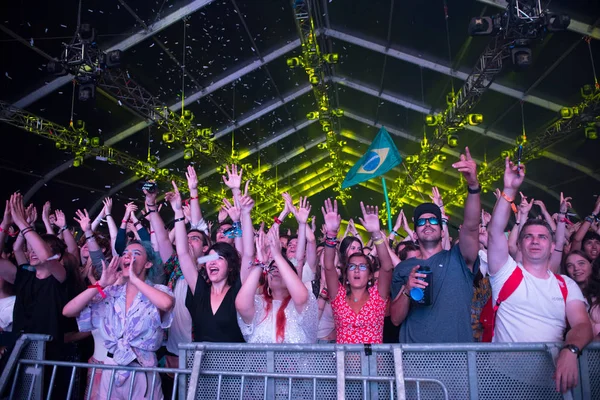 Fröhlich feiernde Menschenmenge bei Musikfestival Stockbild