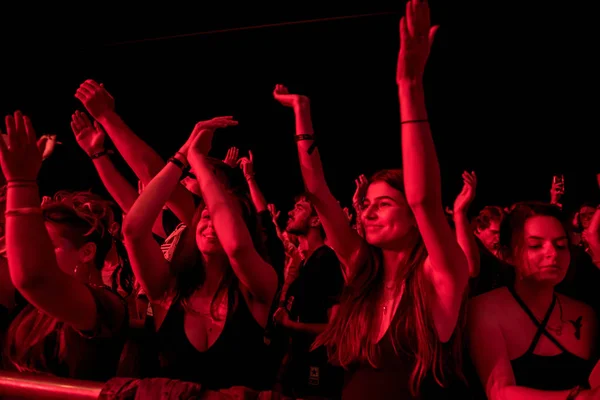 Tłum radosnych ludzi rozbierających się na festiwalu muzycznym — Zdjęcie stockowe