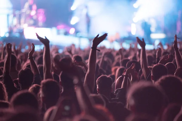 Multitud de personas en el concierto de rock — Foto de Stock