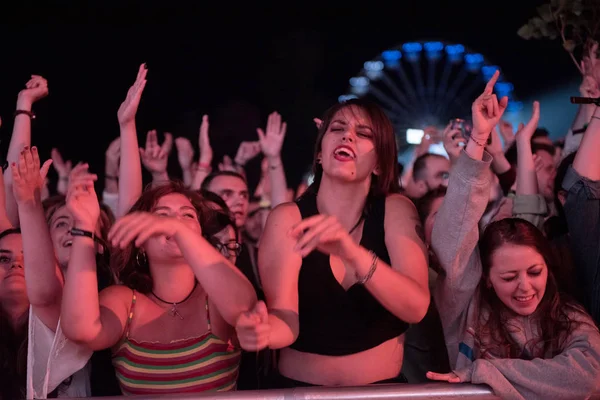 Folle di persone che festeggiano ad un concerto dal vivo — Foto Stock