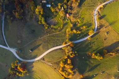 Sonbahar kırsal tepelerpastoral havadan drone atış
