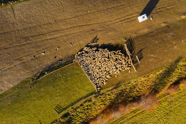 Letecká bezvýňovná střela — Stock fotografie