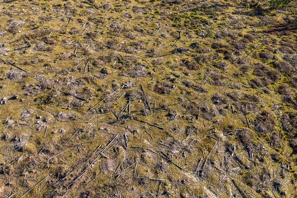 Deforestazione aerea drone colpo — Foto Stock