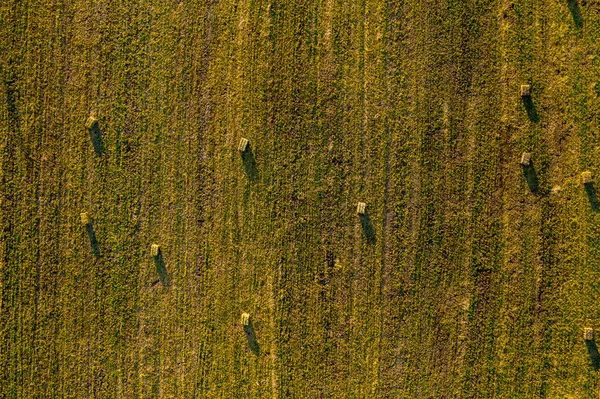 Foto aérea de drones de los rollos de heno en el trigo — Foto de Stock