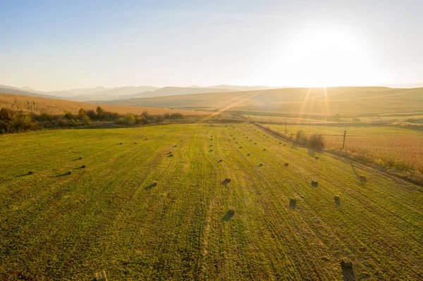 Aerial drone photo of hay rolls in the wheat — Stock Photo, Image