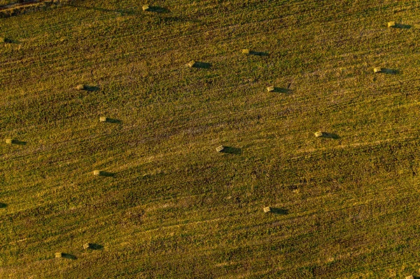 Аэрофоторобот с рулонами сена в пшенице — стоковое фото