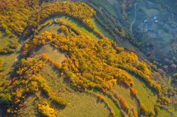 Drone widok jesiennej łąki i lasu — Zdjęcie stockowe