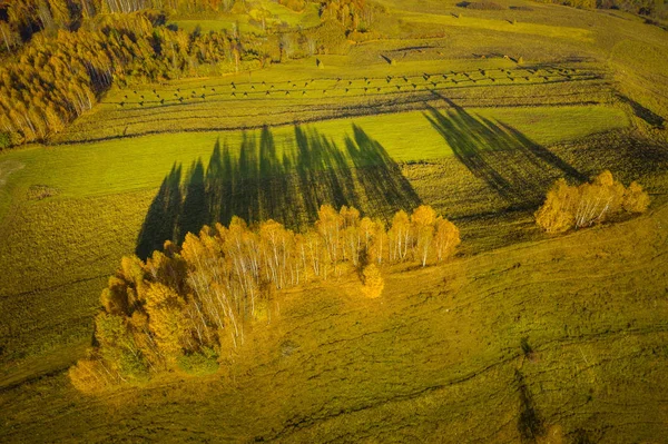 Вид на осінній луг і ліс — стокове фото