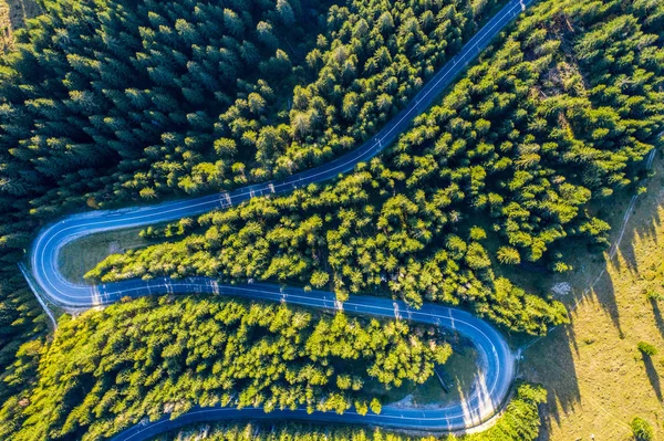 Luchtfoto van het groene dennenbos en een weg — Stockfoto