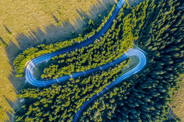 Luchtfoto van het groene dennenbos en een weg — Stockfoto