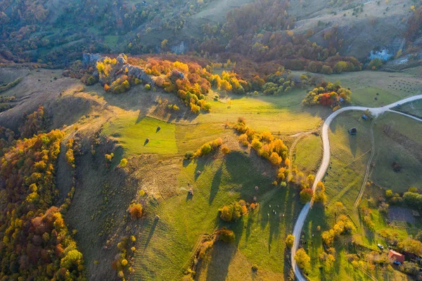 秋の田園地帯の丘の牧歌的な空中ドローンショット — ストック写真