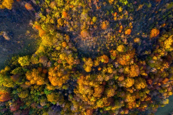 Sonbahar manzara drone anten — Stok fotoğraf