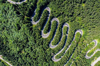 Yeşil ormanda dolambaçlı bir yolun havadan üst görünümü