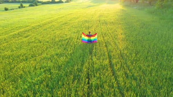 屋外で虹の旗を掲げたレズビアンゲイの女の子 空中ドローンビュー Lgbt同性愛者の権利 プライド現代的なライフスタイルコンセプト — ストック動画