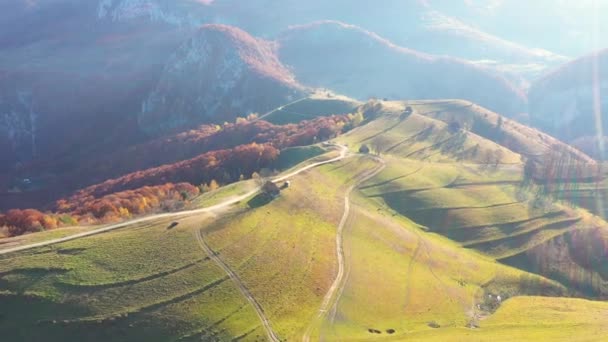 Luchtdrone Footage View Vlucht Herfstlandschap Heuvels Kleurrijk Herfstbos — Stockvideo