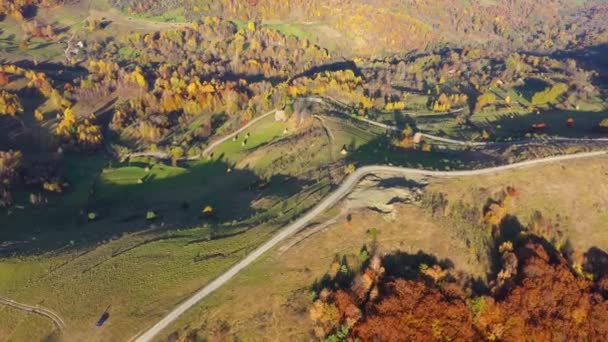 Vista Aérea Del Dron Vuelo Sobre Paisaje Otoño Colinas Colorido — Vídeos de Stock