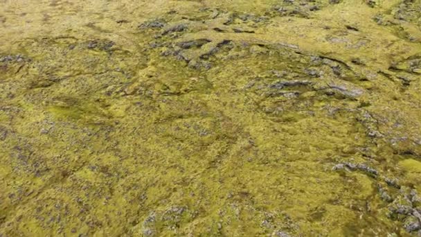 Volando Sobre Lava Eldhraun Archivado Islandia Aérea Vista Dron Ángulo — Vídeos de Stock