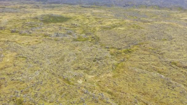 Létání Nad Eldhraun Lávy Podané Islandu Letecký Vysoký Úhel Pohledu — Stock video