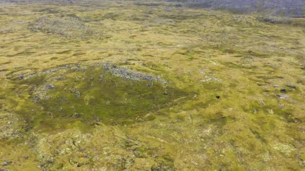 Flying Eldhraun Lava Filed Iceland Aerial High Angle Drone View — Stock Video