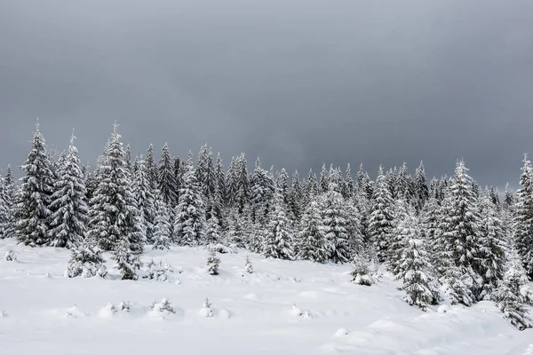 Paesaggio invernale con neve sugli alberi — Foto Stock