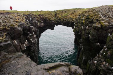 ARNARSTAPI, ICELAND - 18 Mayıs 2019: Bazalt kayalıklarındaki Arnarsatpi deniz kemerinde duran turistler