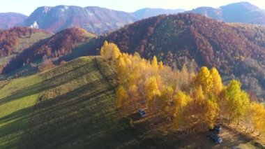 Sonbahar ormanı ve tepelerin üzerinde uçuyor. Transilvanya, Romanya