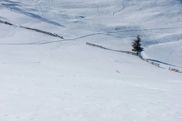 Paisaje Invierno Con Árboles Cubiertos Nieve Colinas — Foto de Stock