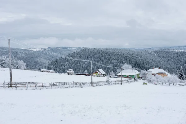 Paysage Rural Hivernal Avec Arbres Enneigés Collines — Photo