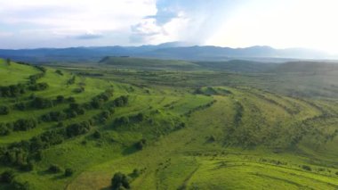 Parlak yeşil tepelerin hava manzarası. Transilvanya, Romanya