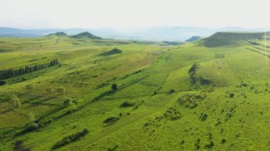 Parlak yeşil tepelerin hava manzarası. Transilvanya, Romanya