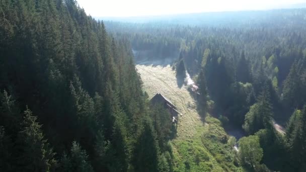 Lecąc Nad Mglistym Lasem Sosnowym Domkiem Świetle Wschodu Słońca — Wideo stockowe