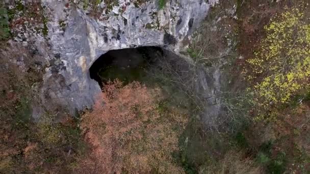 Sorvolando Monumentale Ingresso Grotta Tra Gli Alberi Con Drone — Video Stock