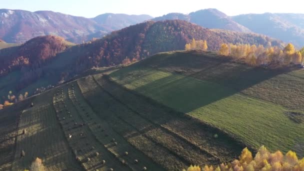 Flyger Ovanför Färgglada Höst Landsbygd Skog Bergen Transsylvanien Rumänien — Stockvideo