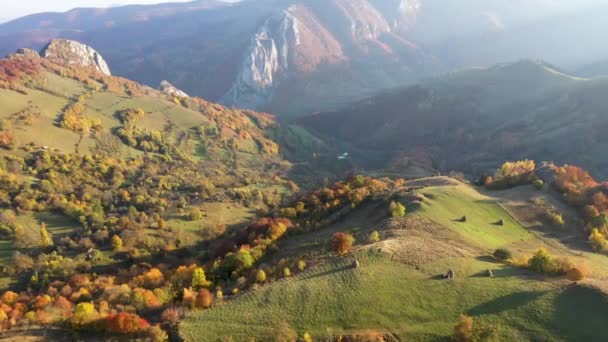 Voando Acima Floresta Rural Outono Colorido Nas Montanhas Transilvânia Roménia — Vídeo de Stock