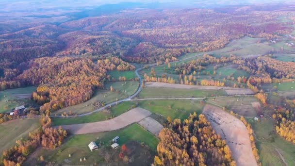 Volando Por Encima Coloridos Bosques Otoño Las Montañas Transilvania Rumanía — Vídeos de Stock