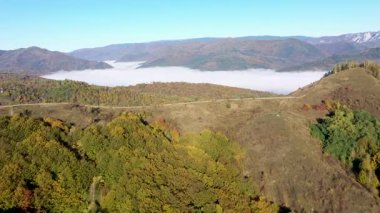 Sonbahar ormanı ve sabah sisi üzerinde uçarak vadi havası manzarasında