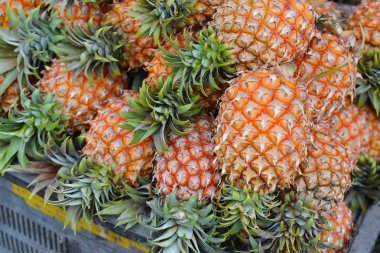 Ananas pazarda satmak