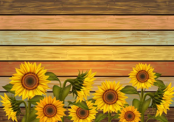 Ілюстрація Соняшників Листя Різнокольоровій Дерев Яній Дошці — стоковий вектор