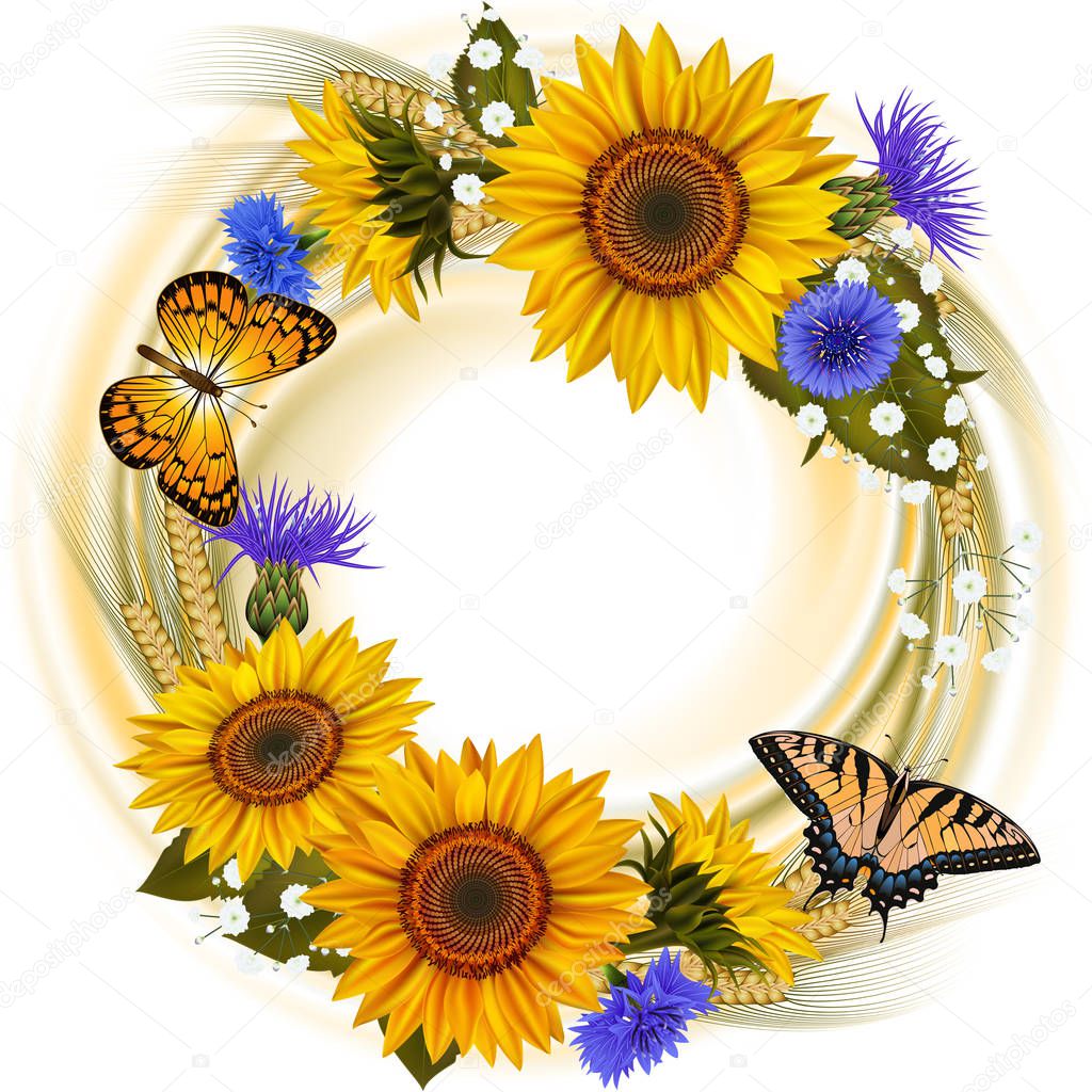 Illustration of floral card template with sunflowers, cornflowers, wheat ears, gypsophila flowers and butterflies isolated