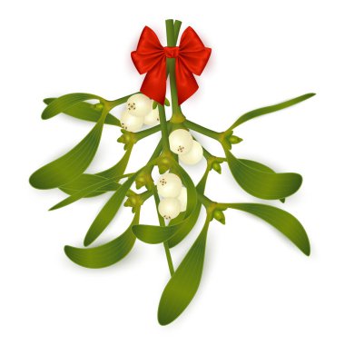 Illustration of hanging mistletoe sprigs with berries and red bow isolated clipart
