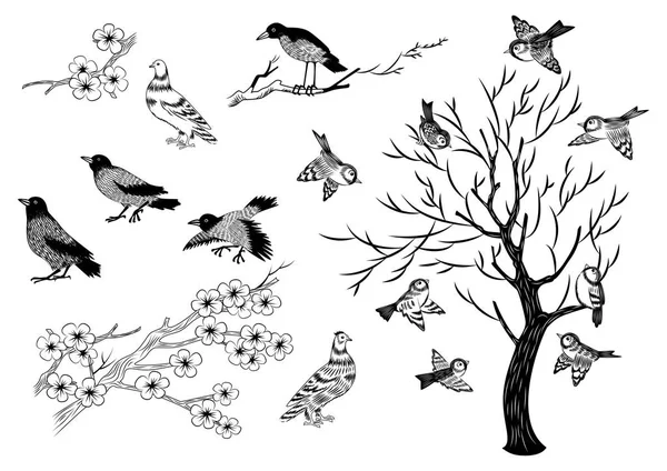 Ilustração Magníficos Pardais Pombos Árvores Desenhados Mão Isolados — Vetor de Stock