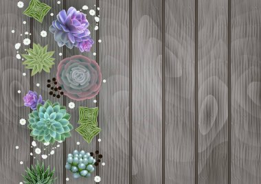 Çiçek kartı şablonu etli bitkiler, gypsophila çiçek ve ahşap arka plan resmi