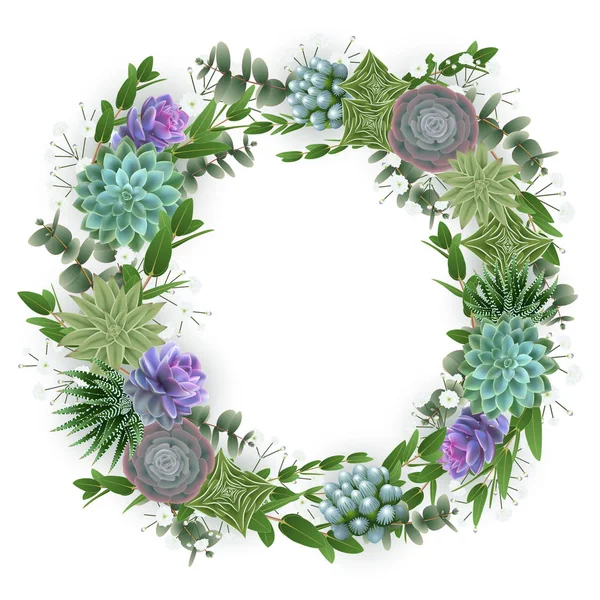 Illustration Couronnes Florales Avec Plantes Succulentes Fleurs Gypsophile Eucalyptus Isolés — Image vectorielle