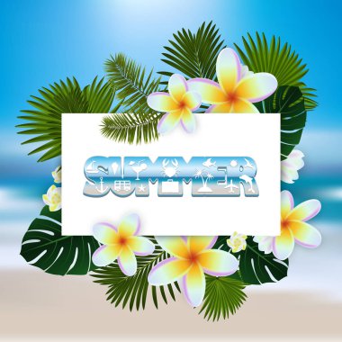 Yaz tatili geçmişi