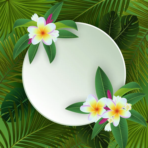 Plumeria tropischen Hintergrund — Stockvektor
