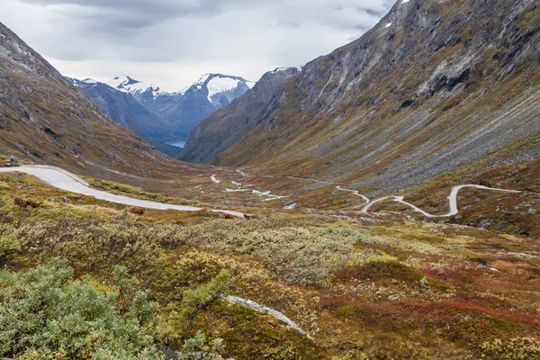 Gamle Strynefjellsvegen Ruta Turística Nacional Ascendiendo Por Valle Videfossen Noruega —  Fotos de Stock
